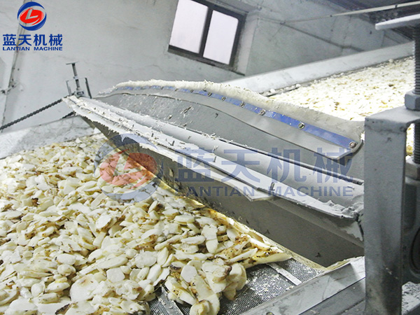 大型网带式好色先生下载APP机烘干现场