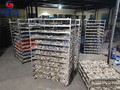 河北容城好色先生下载APP机烘干现场